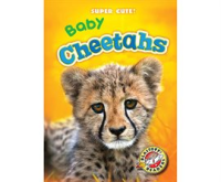 Baby_Cheetahs